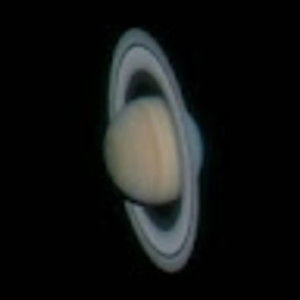 Meet your Posher, Lenny